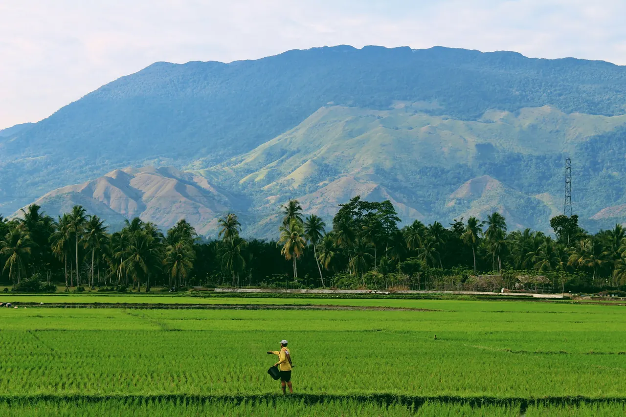 Land Sourcing