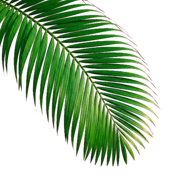 Realistic Palm Trees